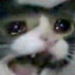 Xcqtx's Avatar'