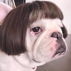Zhona's Avatar'