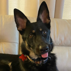 Reaper7903's Avatar'