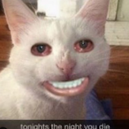 gg.stepdad._.'s Avatar'