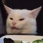 rhendycasher's Avatar'