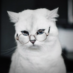 coffeemaisweet's Avatar'