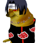 Binspaws's Avatar'