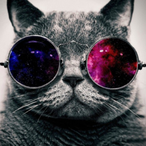 GiveMeAWPo_0's Avatar'