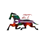 ZorroTornado_'s Avatar'