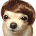 aquagoat11's Avatar'