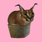 WayneX._'s Avatar'