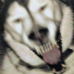 dustboxxxx's Avatar'