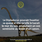 PAPA_LA_MOULA's Avatar'