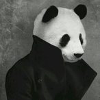 DickyFatN3ts's Avatar'