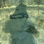 konayuki..'s Avatar'