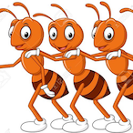 AntZ.-'s Avatar'