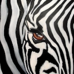 fishpoop818's Avatar'