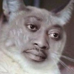 AE17Zzz's Avatar'