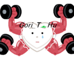 Gori_ToHu's Avatar'