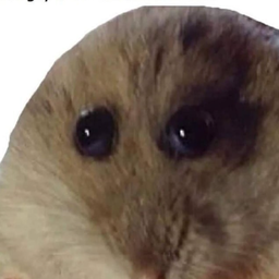 HammyGod69