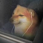 Bogekinius's Avatar'