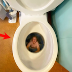 StevenHere-'s Avatar'