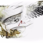Shirataka-Geek's Avatar'