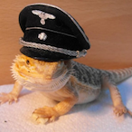 SergeantLizard_'s Avatar'