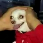 Theoverlord0's Avatar'