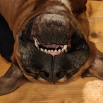 BuncsasLofasz57's Avatar'