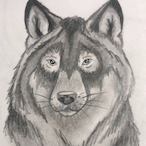 Skogensvasen's Avatar'