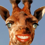 cancel req's Avatar'