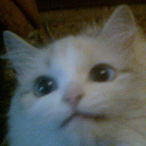 MHanssen's Avatar'