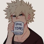 Randomperson807's Avatar'