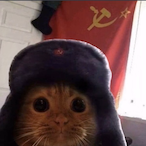 staring-cat's Avatar'
