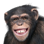 Affemonk's Avatar'