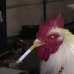 ChickenJoe4521's Avatar'