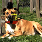 Batpickle63's Avatar'