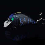 WintersTrout's Avatar'