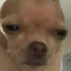 This_Is_So_Sad's Avatar'