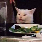 FOXYgamer__ITA's Avatar'