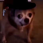 magicmanDiaz's Avatar'