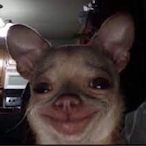 WhatDaDawgDoin_'s Avatar'