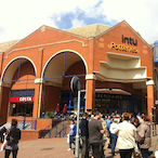 s4mmysnake's Avatar'