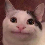 GIiding far's Avatar'