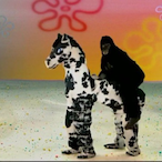 meatquaker's Avatar'