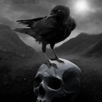 DarkCuervoo's Avatar'