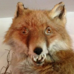 mystery_why_y's Avatar'