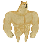 Major_Chiggen's Avatar'