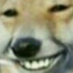 Happybirfmas's Avatar'