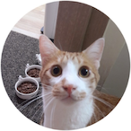 Luhsst4230's Avatar'