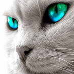 GreenEgon22's Avatar'