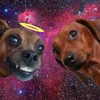 Capivaradaneve's Avatar'