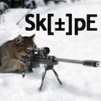 Sgt.Sk0pE's Avatar